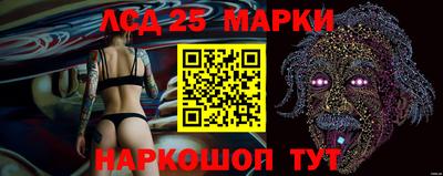 кокс Нальчик