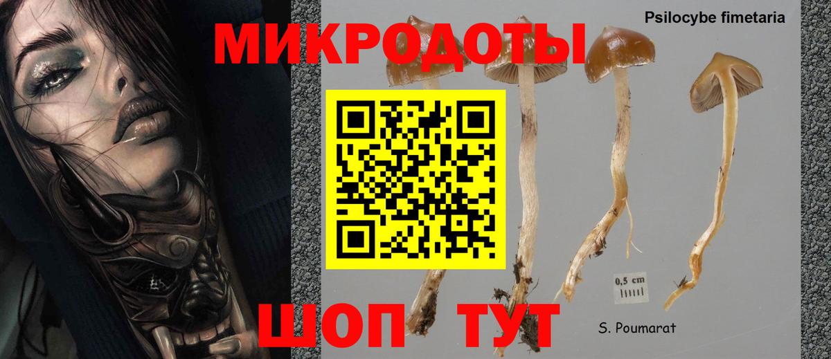 Галлюциногенные грибы мицелий  Вход с VPN  где продают   Сызрань 